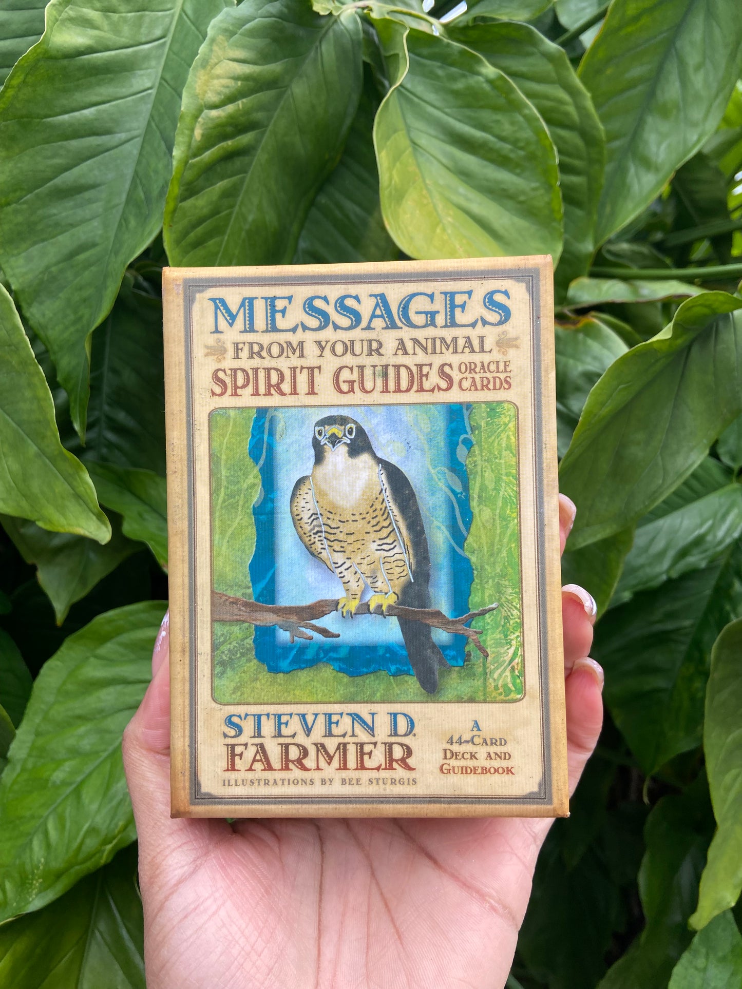 Messages From Your Animal Spirit Guides (lightly used)