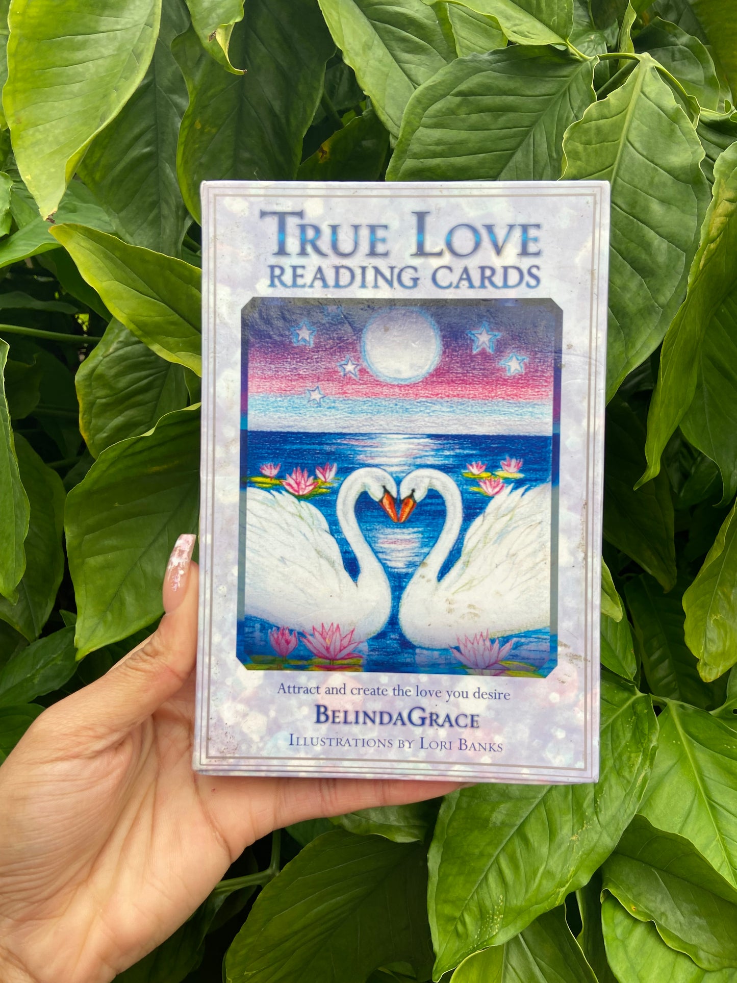 True Love Reading Cards (lightly used)