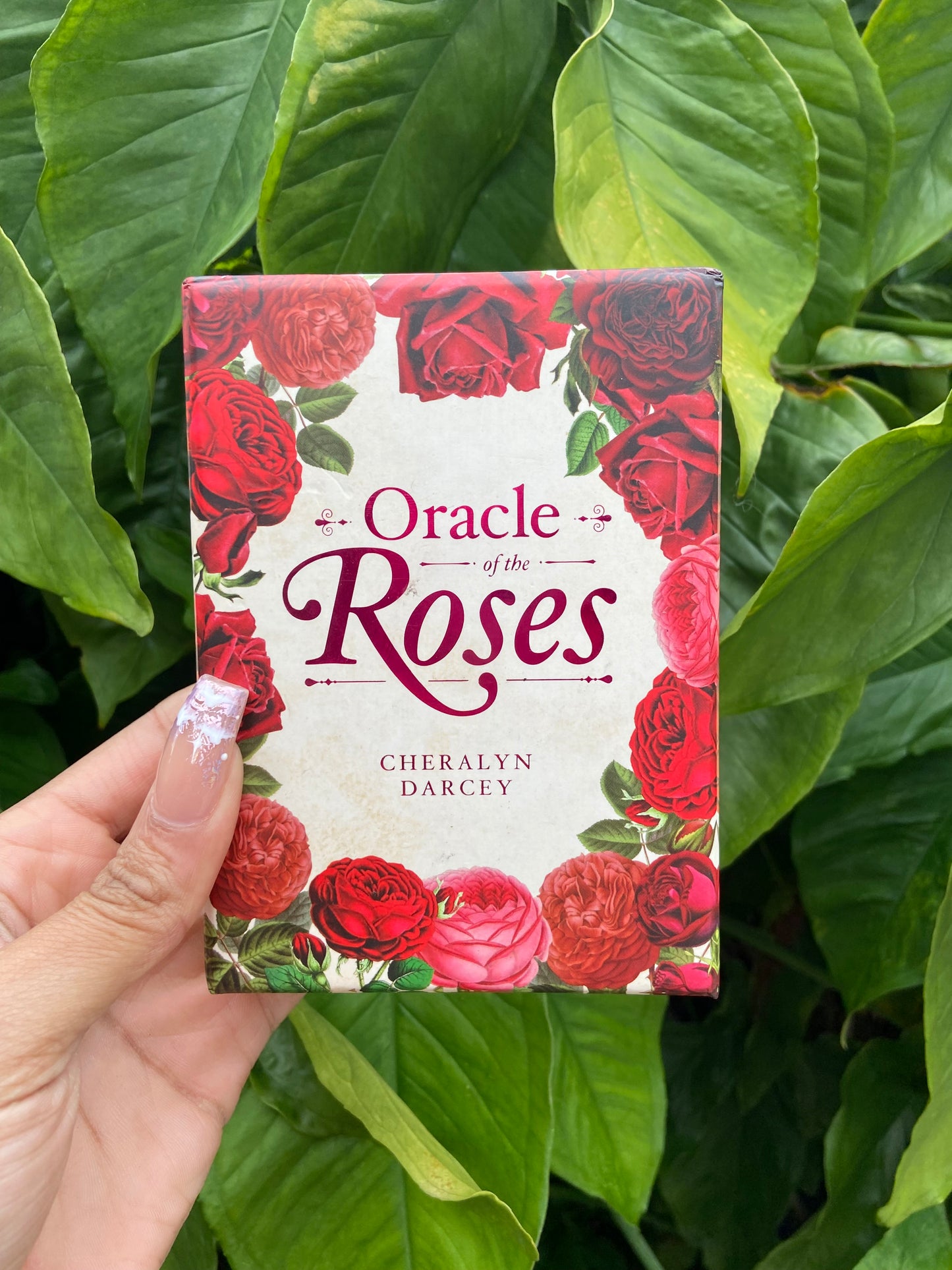 Oracle Of The Roses (lightly used)