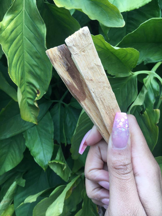 Palo Santo